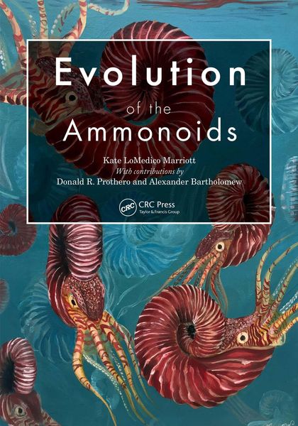 Produktbild: Evolution of the Ammonoids