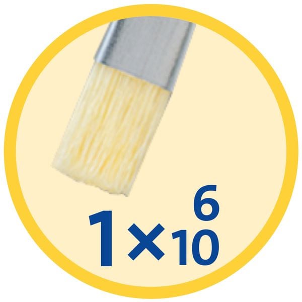Produktbild: Pelikan Pinsel Starter-Set, 3 Haar- und 2 Borstenpinseln