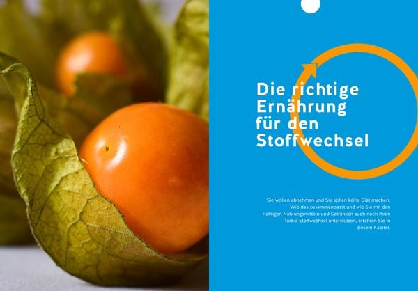 Produktbild: Stoffwechsel-Reset