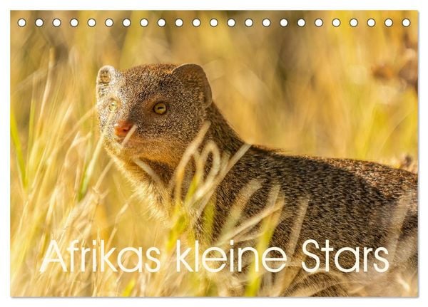 Produktbild: Afrikas kleine Stars (Tischkalender 2026 DIN A5 quer), CALVENDO Monatskalender