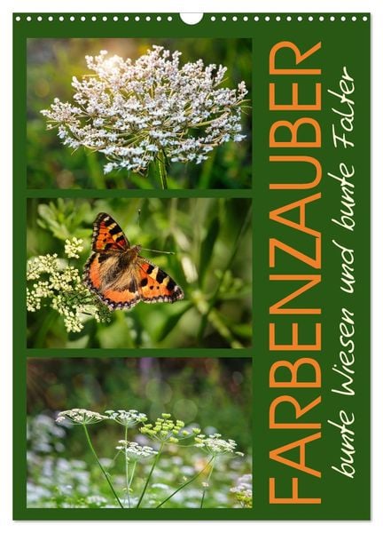 Produktbild: Farbenzauber, bunte Wiesen und bunte Falter (Wandkalender 2026 DIN A3 hoch), CALVENDO Monatskalender
