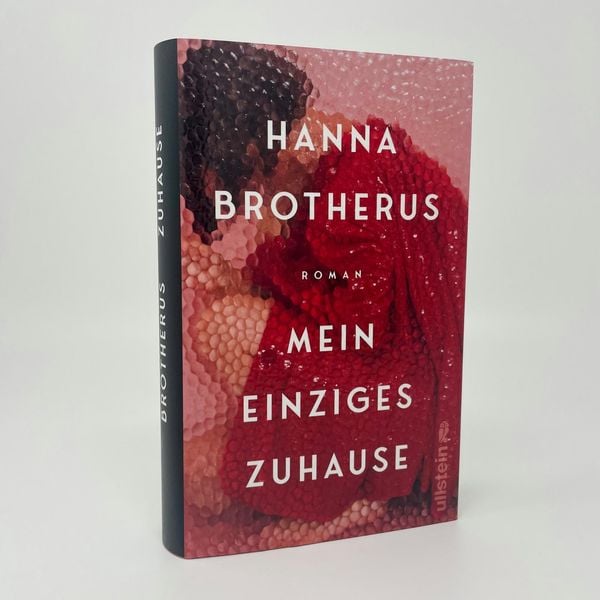 Produktbild: Mein einziges Zuhause