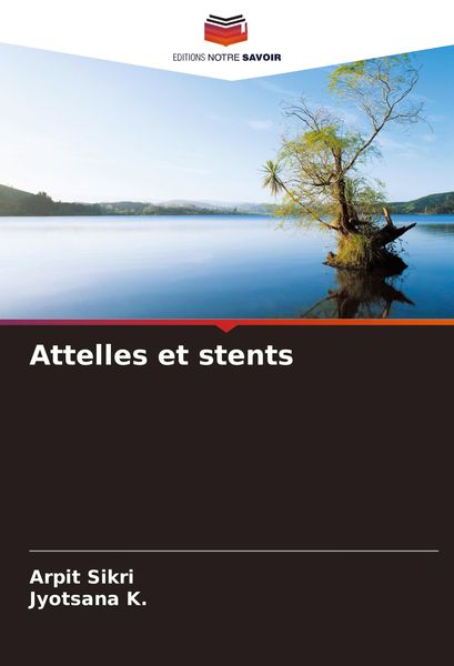 Produktbild: Attelles et stents