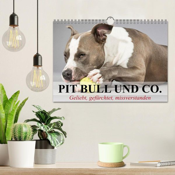 Produktbild: Pit Bull und Co. - Geliebt, gef&uuml;rchtet, missverstanden (Wandkalender 2026 DIN A4 quer), CALVENDO Monatskalender