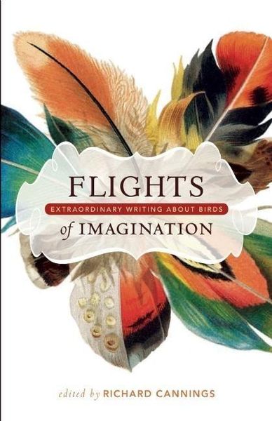 Produktbild: Flights of Imagination