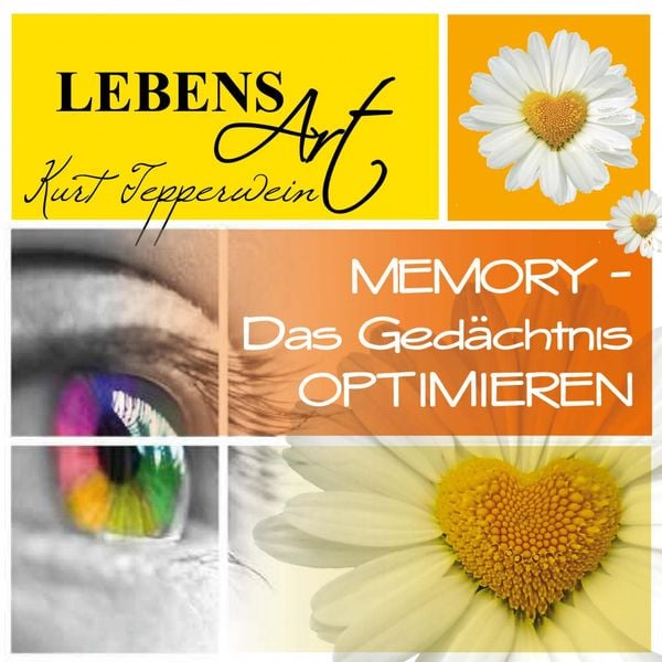 Lebensart: Memory (Das Gedächtnis optimieren)