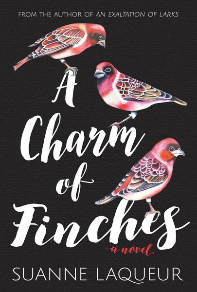 Produktbild: A Charm of Finches (Venery, #2)