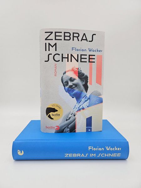 Produktbild: Zebras im Schnee