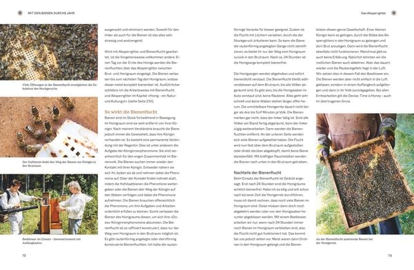 Produktbild: Bienengem&auml;&szlig; imkern im Jahreslauf