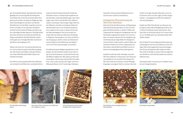 Produktbild: Bienengem&auml;&szlig; imkern im Jahreslauf