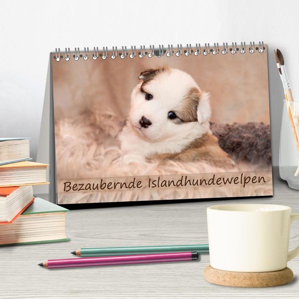 Produktbild: Bezaubernde Islandhundewelpen (Tischkalender 2026 DIN A5 quer), CALVENDO Monatskalender