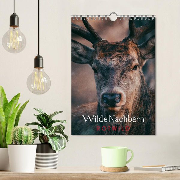 Produktbild: Wilde Nachbarn: Rotwild (Wandkalender 2026 DIN A4 hoch), CALVENDO Monatskalender