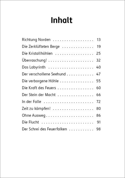 Der letzte Feuerfalke und die Kristallhöhlen (Band 2)