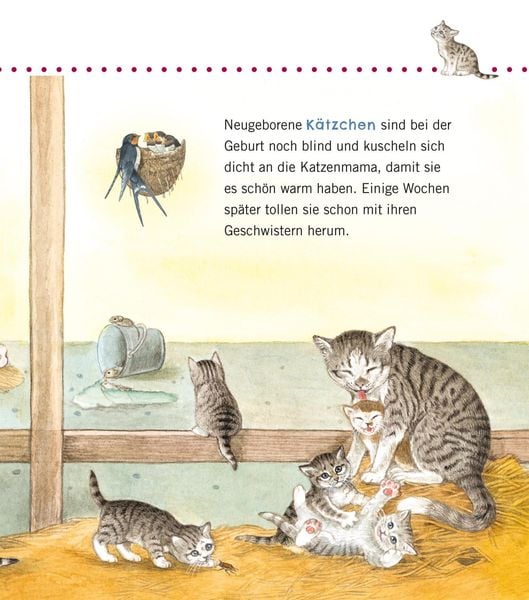 Produktbild: Unkaputtbar: Erstes Wissen: Tiere und ihre Kinder