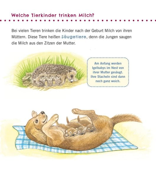 Produktbild: Unkaputtbar: Erstes Wissen: Tiere und ihre Kinder