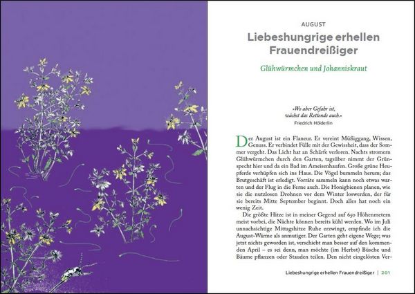 Produktbild: &Uuml;berall ist Garten