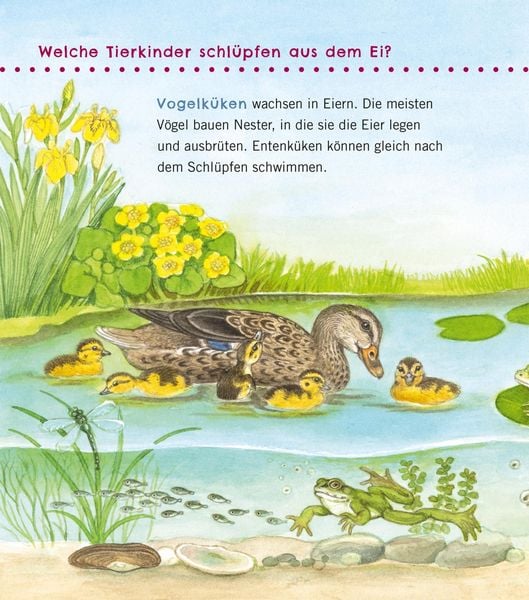Produktbild: Unkaputtbar: Erstes Wissen: Tiere und ihre Kinder