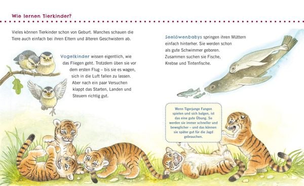 Produktbild: Unkaputtbar: Erstes Wissen: Tiere und ihre Kinder