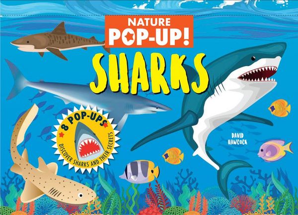 Produktbild: Nature Pop-Up! Sharks