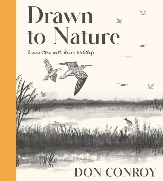 Produktbild: Drawn to Nature