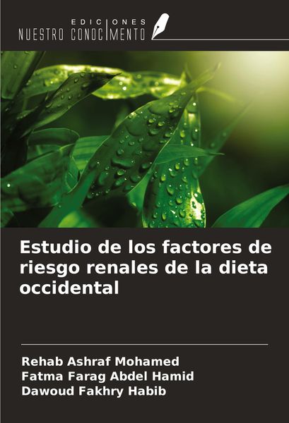 Produktbild: Estudio de los factores de riesgo renales de la dieta occidental