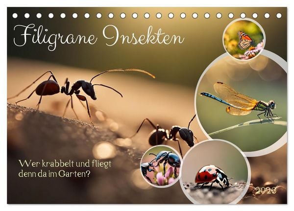 Filigrane Insekten (Tischkalender 2026 DIN A5 quer), CALVENDO Monatskalender