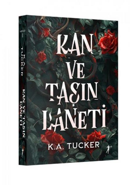 Produktbild: Kan ve Tasin Laneti