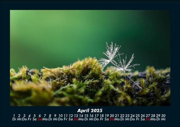 Produktbild: Bilder aus der Natur 2025 Fotokalender DIN A5