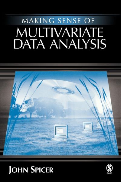 Produktbild: Making Sense of Multivariate Data Analysis