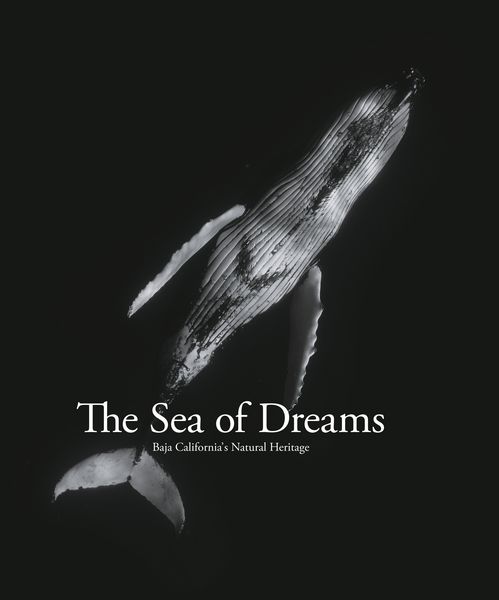 Produktbild: The Sea of Dreams