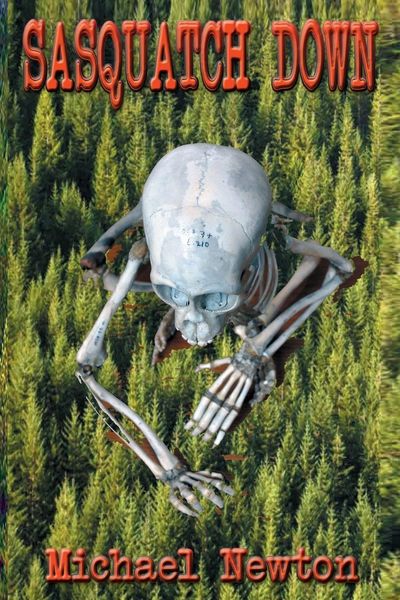 Produktbild: Sasquatch Down