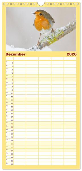 Produktbild: Familienplaner 2026 - Geliebtes Rotkehlchen mit 5 Spalten (Wandkalender, 21 x 45 cm) CALVENDO