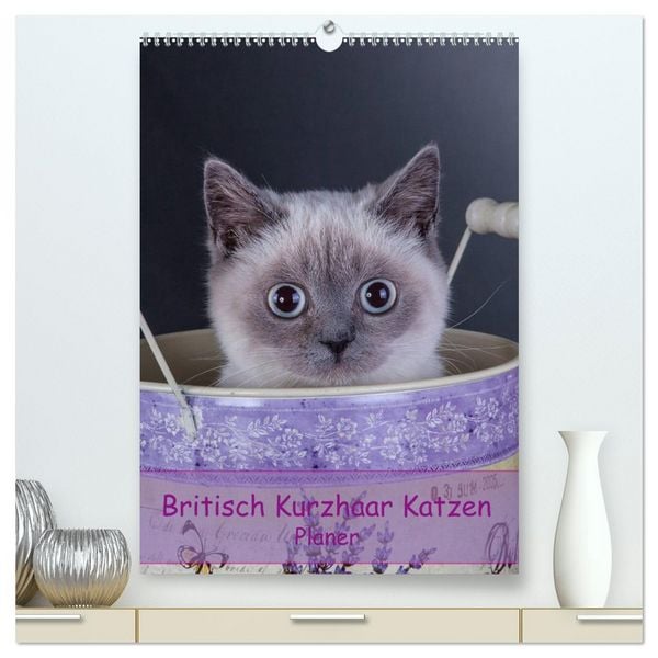 Produktbild: Britisch Kurzhaar Katzen - Planer (hochwertiger Premium Wandkalender 2026 DIN A2 hoch), Kunstdruck in Hochglanz