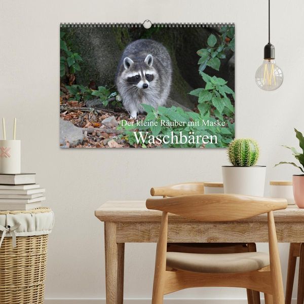 Produktbild: Der kleine R&auml;uber mit Maske - Waschb&auml;ren (Wandkalender 2026 DIN A3 quer), CALVENDO Monatskalender