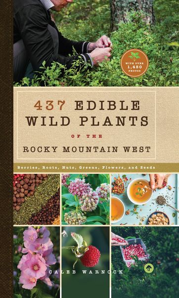Produktbild: 437 Edible Wild Plants of the Rocky Mountain West