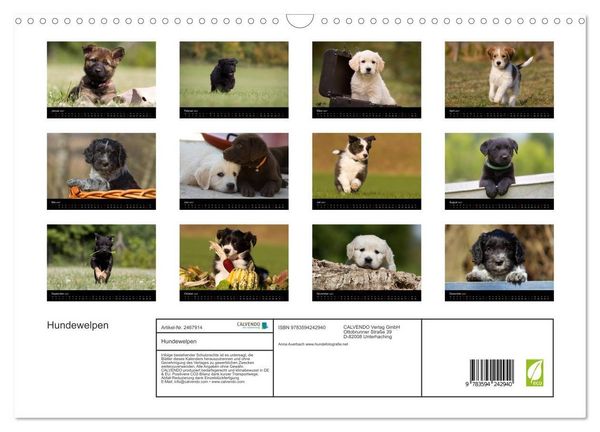 Produktbild: Hundewelpen (Wandkalender 2027 DIN A3 quer), CALVENDO Monatskalender