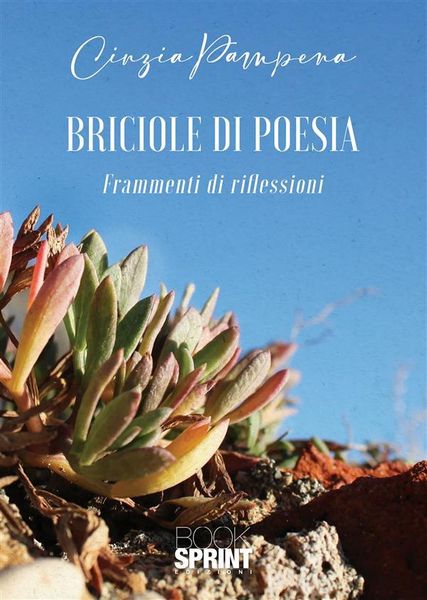 Produktbild: Briciole di poesia