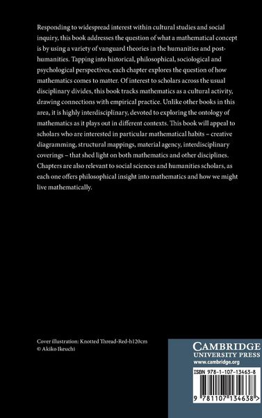 Produktbild: What is a Mathematical Concept?
