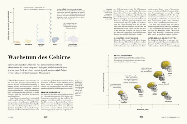 Produktbild: HUMANS. Der Mensch