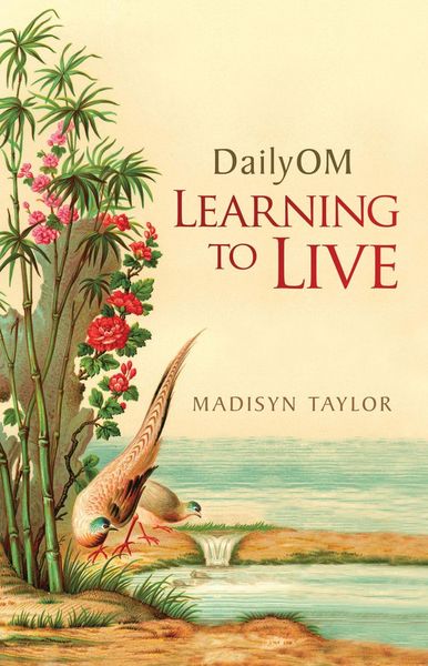 Produktbild: DailyOM: Learning to Live
