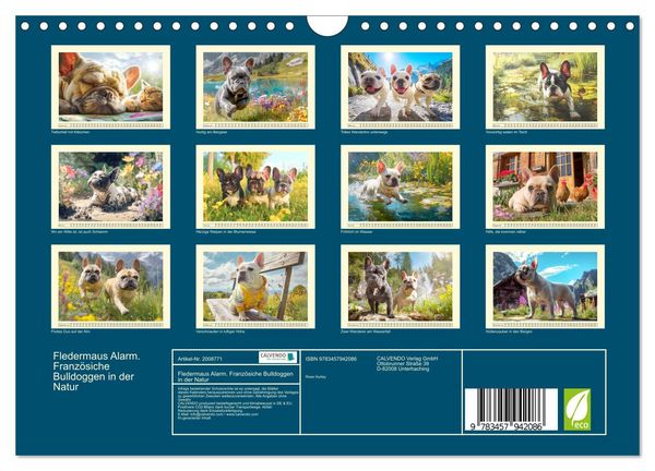 Produktbild: Fledermaus Alarm. Franz&ouml;siche Bulldoggen in der Natur (Wandkalender 2026 DIN A4 quer), CALVENDO Monatskalender