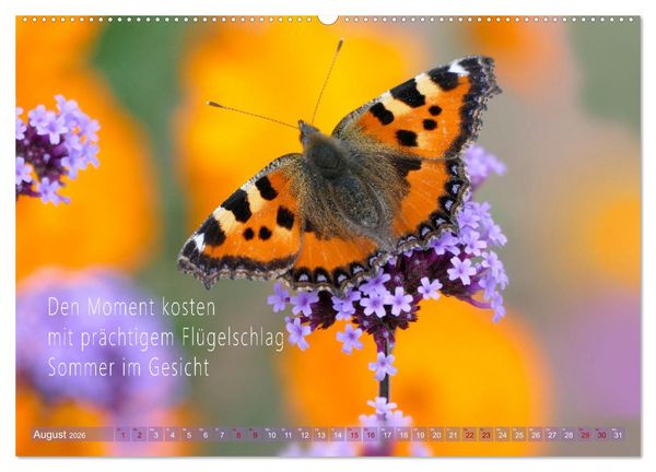 Produktbild: Haiku Poesie in Wort und Bild (Wandkalender 2026 DIN A2 quer), CALVENDO Monatskalender