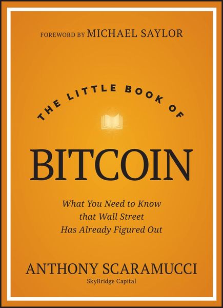 Produktbild: The Little Book of Bitcoin