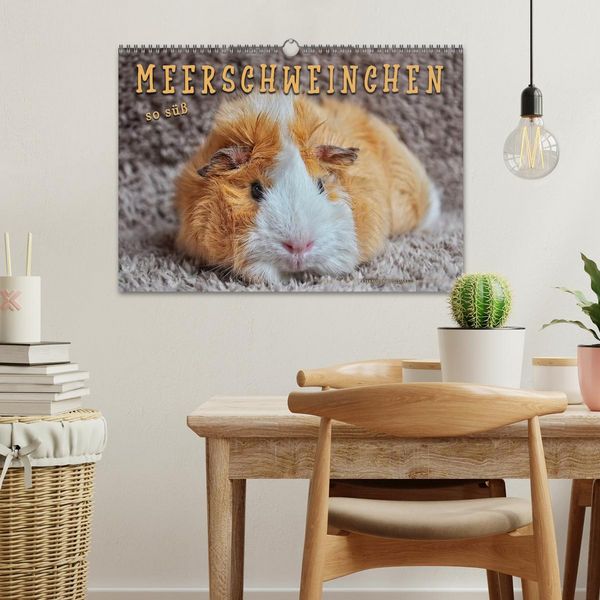 Produktbild: Meerschweinchen - so s&uuml;&szlig; (Wandkalender 2026 DIN A3 quer), CALVENDO Monatskalender