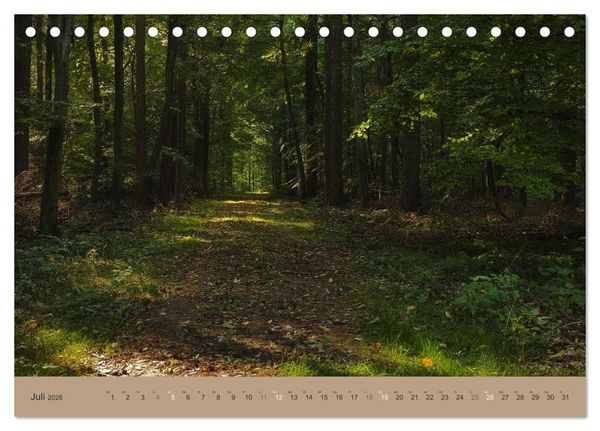Produktbild: Unser Wald - Magische Sichten in norddeutsche W&auml;lder (Tischkalender 2026 DIN A5 quer), CALVENDO Monatskalender