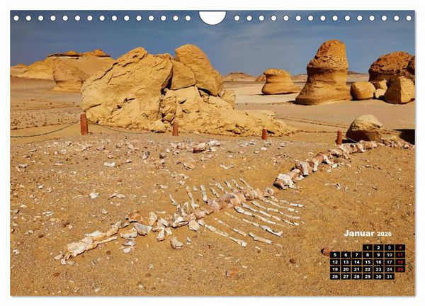 Produktbild: &Auml;gypten &ndash; westliche W&uuml;sten (Wandkalender 2026 DIN A4 quer), CALVENDO Monatskalender