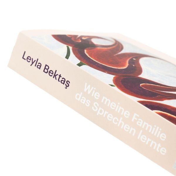 Produktbild: Wie meine Familie das Sprechen lernte