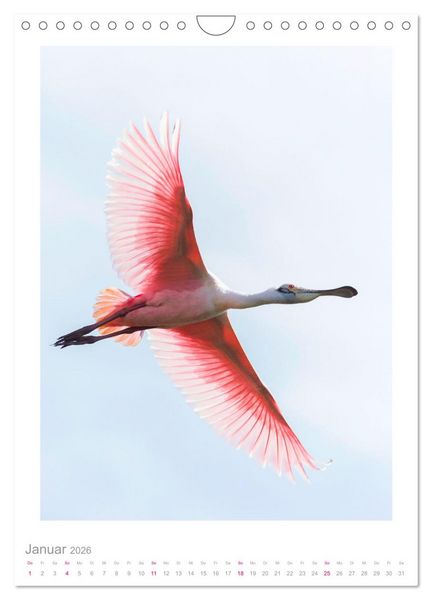 Produktbild: Pantanal &ndash; Einzigartiges Wildlife-Paradies (Wandkalender 2026 DIN A4 hoch), CALVENDO Monatskalender