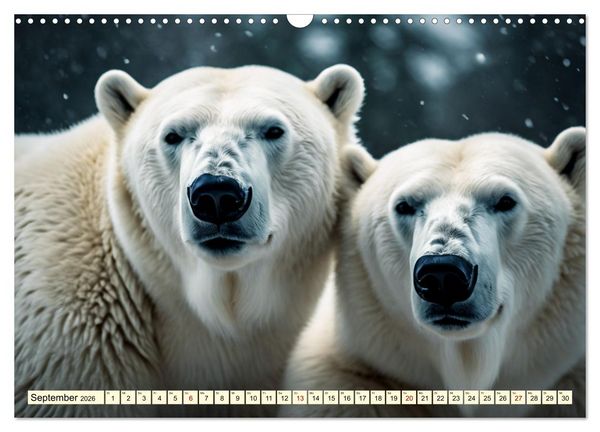 Produktbild: Eisb&auml;ren im Fokus (Wandkalender 2026 DIN A3 quer), CALVENDO Monatskalender