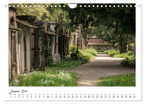 Produktbild: Alter Friedhof Freiburg (Wandkalender 2026 DIN A4 quer), CALVENDO Monatskalender
